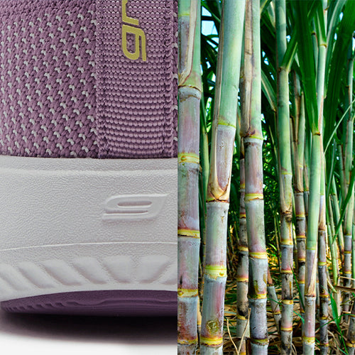 Sustainability - image of greenReActives shoe next to sugar cane