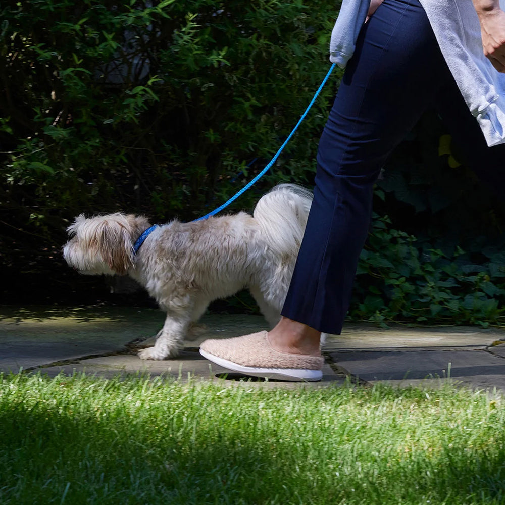 Clogs - image of person walking a dog wearing greenReActives clogs