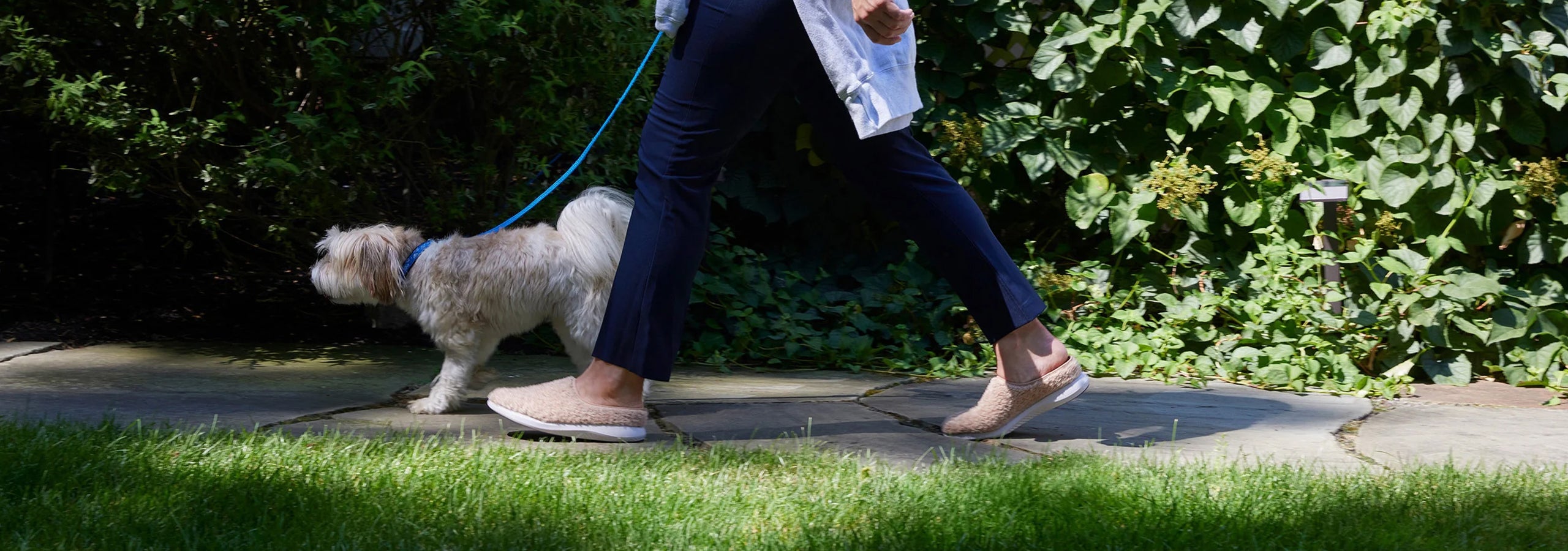 Clogs - image of person walking a dog wearing greenReActives clogs